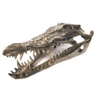 Bronze Crocodile scull silver